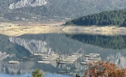 Karacaören Barajı’nda üretilen alabalık ve somon yurt dışından alıcı buluyor
