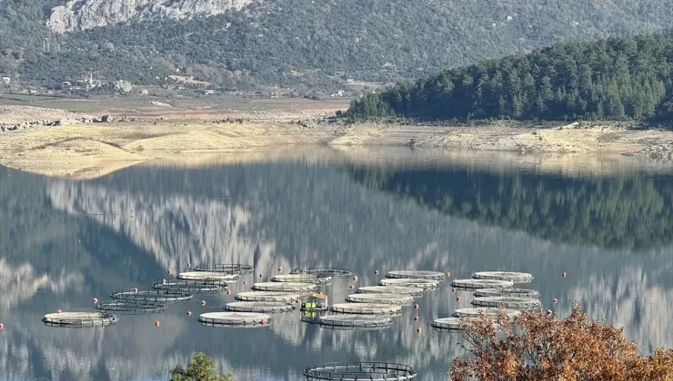 Karacaören Barajı’nda üretilen alabalık ve somon yurt dışından alıcı buluyor